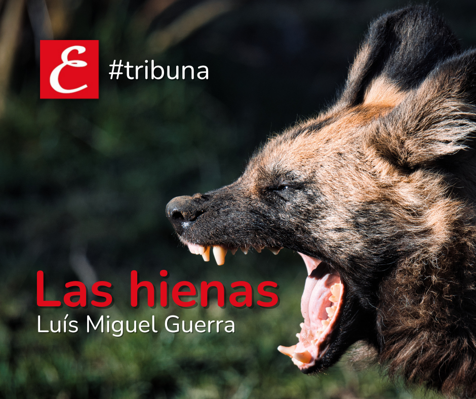 “Las hienas”. Luís Miguel Guerra.