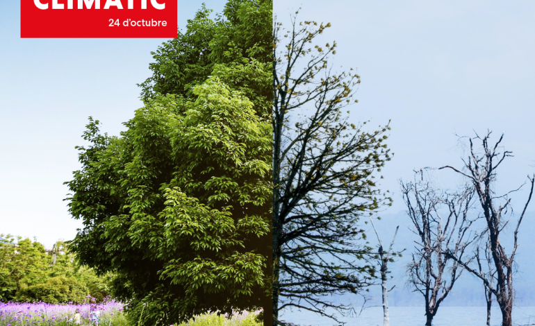 Manifest del “Dia Internacional contra el Canvi Climàtic / 24-O”.