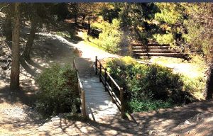 El suicidio de Lorca