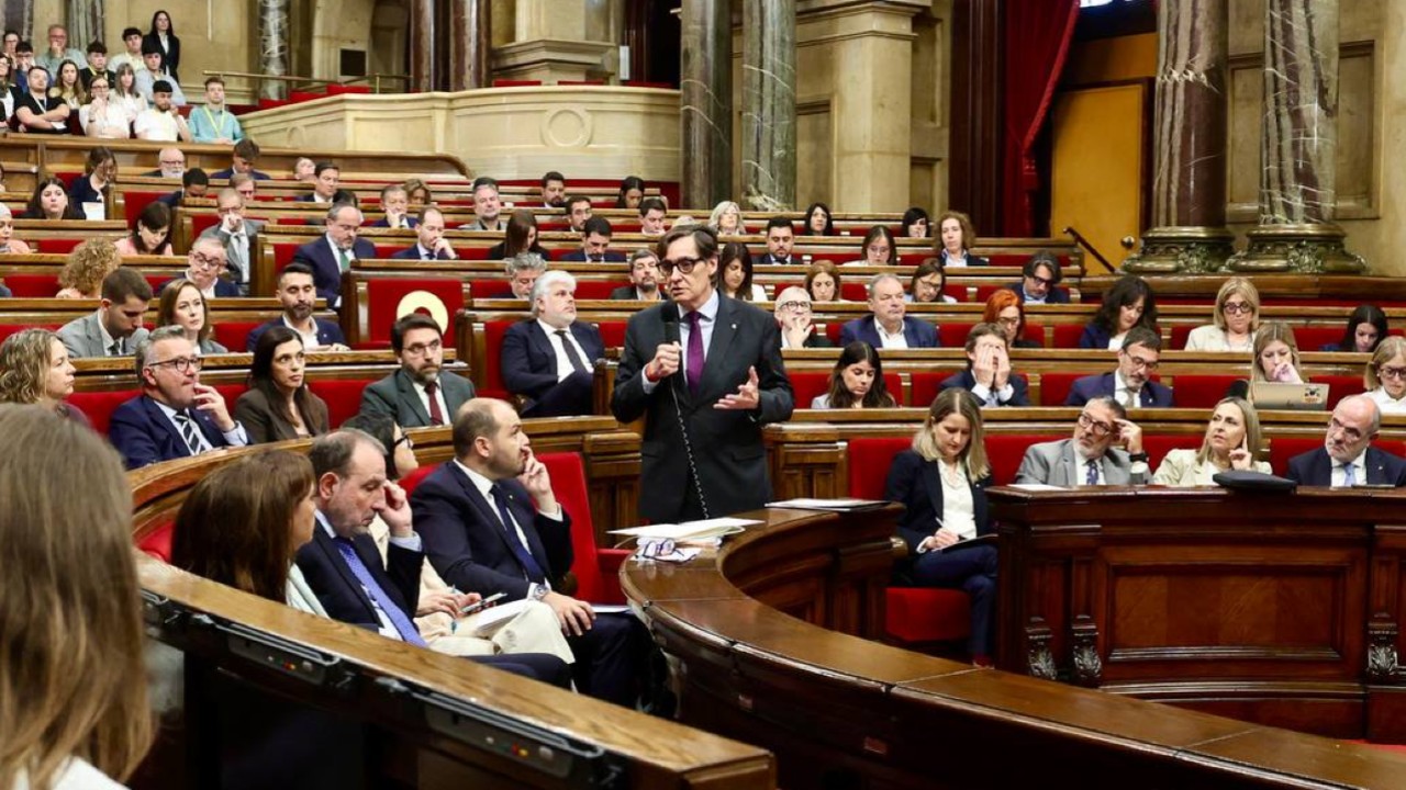 Tenir cura de la democràcia
