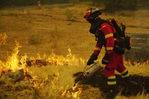 El risc que exigeix un canvi d’estratègia Fins al 15 de juliol, a Catalunya ja havien cremat 4.571 hectàrees forestals en 461 incendis, el pitjor registre de l'última dècada. Aquest mateix cap de setmana, el foc que afecta Almorox, San Martín de Valdeiglesias i la província d'Àvila ja superava les 100.000 hectàrees. La vicepresidenta tercera del Govern l'ha definit com l'incendi més important de la història recent d'Espanya. El balanç és devastador: més de 70.000 persones evacuades i ajuda sol·licitada a la Unió Europea. A l'altra banda de la frontera, a França, l'incendi que amenaça Bordeus ja ha desplaçat més de 220.000 persones i ha provocat, per primera vegada al país, un fenomen que bombers i científics han batejat com a «drac de foc entre els núvols»: un incendi capaç de generar els seus propis vents i de tornar-se, literalment, imprevisible i, per tant, impossible d'extingir amb mitjans humans. Darrere d'aquestes xifres hi ha una realitat que cap estadística no aconsegueix transmetre del tot: milers de persones evacuades, dies sencers d'angoixa i d'incertesa, pèrdues humanes i materials, imatges que quedaran gravades per sempre a la memòria i molts projectes de vida literalment calcinats. I també un símbol molt poderós: el fum negre i tòxic avançant, cada vegada més, cap als nuclis urbans. Quan es confinen o s'evacuen centenars de milers de persones, el desastre climàtic deixa de ser una imatge televisiva —de la qual ens podem distanciar a voluntat— per convertir-se en allò que sempre ha estat en realitat: persones angoixades i atemorides, vides concretes amenaçades i formes de vida senceres —una granja, un restaurant, una vinya, una casa, un poble— arrasades en poques hores. El risc que ja no és excepció, sinó estructura Tres focus, tres contextos geogràfics diferents, un mateix estiu: no és una casualitat; és un patró que, malauradament, ja ens resulta massa reconeixible. Fa més de quatre dècades, el sociòleg alemany Ulrich Beck va advertir, a la seva obra La societat del risc (1986), que les societats avançades entraven en una nova fase: la que ell va anomenar «societat del risc», un estadi en què les amenaces deixen de ser accidents puntuals per convertir-se en el resultat sistemàtic del nostre propi model de desenvolupament: estructurals, permanents i cegues davant les fronteres administratives. Un incendi que salta de Toledo a Àvila, o de la Gironda cap a Bordeus, no distingeix comunitats autònomes ni països, i ja no es pot considerar un accident ni un episodi passatger d'estiu: s'ha convertit en una realitat normalitzada que ens acompanyarà a partir d'ara. És la prova que hem entrat en un règim de risc permanent, en què els serveis de socors i l'ajuda d'emergència, per ben executats que siguin, ja no són suficients. Tampoc no s'ha de considerar accidental el dany que aquesta nova normalitat provoca: els incendis deixen una degradació del territori molt acusada i permanent. Els més recurrents o intensos deterioren les propietats físiques i biològiques del sòl, acceleren l'erosió i, quan la vegetació no aconsegueix regenerar-se a temps, afavoreixen el procés de desertificació. Segons el Ministeri per a la Transició Ecològica, al voltant del 75% del territori espanyol ja es troba en risc de desertització i un 6% ja s'ha degradat de forma irreversible. El patró que hi ha darrere d'aquesta xifra és conegut: la despoblació rural deixa la muntanya sense gestionar, la biomassa seca s'hi acumula i el foc —originat per negligència humana en el 90% dels casos— troba cada any un combustible més abundant. No estem davant d'un fenomen natural que simplement s'hagi agreujat amb la calor: també és el resultat de dècades d'abandonament territorial que encara no s'han corregit amb l'ambició necessària. Estabilitat i realisme, no fragmentació Siguin quines siguin les perspectives, convé assenyalar també allò que s'ha avançat: el Pla Alfa, la coordinació entre Bombers, Agents Rurals i Mossos d'Esquadra, i els plans d'autoprotecció de més de 300 municipis catalans constitueixen una resposta seriosa i professional davant l'emergència immediata. I cal dir una cosa que no sempre s'expressa amb la claredat necessària: res d'això no seria possible sense l'estabilitat institucional que el Govern de Salvador Illa ha retornat a Catalunya, ni sense la mirada realista —sense èpica, sense dreceres— amb què ha tornat a situar la gestió pública, i no la confrontació identitària, al centre de l'acció de govern. Aquesta combinació d'estabilitat i realisme no és un luxe en temps tranquils: és la condició sense la qual cap reforma profunda no és possible. El mateix Govern ho va entendre abans que el foc ho fes evident: el passat mes de maig, Illa va signar amb Califòrnia un pla d'acció a dos anys vista en el marc de la Mediterranean Climate Action Partnership —quinze governs subestatals de cinc continents—, centrat en la gestió dels incendis, els recursos hídrics i l'adaptació climàtica. És la prova que els canvis de fons no s'improvisen a l'agost: es construeixen amb anys d'antelació i al costat de socis que comparteixen un mateix horitzó. Un pacte d'estat com el que aquesta setmana ha reclamat Pedro Sánchez —i que Vox rebutja de ple juntament amb l'Agenda 2030— només tindrà aquest mateix valor si es planteja amb aquesta mateixa lògica: governs que durin, pressupostos que s'aprovin i consensos que resisteixin més d'un cicle electoral. Si, per contra, cedim terreny als discursos que alimenten la fragmentació i la polarització social —l'extrema dreta que nega el problema, la xenofòbia que busca un culpable extern allà on només hi ha negligència i abandonament rural—, no hi haurà cap reforma possible: només la gestió de la pròxima urgència, i després de la següent. L'estabilitat no és continuisme: és la precondició del canvi real. El que el risc ens retorna El drac de foc que avança cap a Bordeus, les cent mil hectàrees d'Àvila i Madrid, les 4.571 hectàrees cremades a Catalunya: no són tres episodis aïllats, sinó una mateixa societat del risc. Tot plegat mostra què passa quan s'ajorna el canvi de model de vida que és més urgent que mai. Darrere de cada evacuació hi ha una família real. Darrere de cada hectàrea cremada emergeix un futur més fràgil. La pregunta no és si un bosc tornarà a cremar —ho tornarà a fer, i probablement amb una intensitat més gran—, sinó si ens podem permetre continuar ajornant les respostes estratègiques que una societat del risc, cada vegada més accentuada, ja no pot esperar.