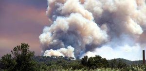 Incendis: més recursos per evitar-los i més prevenció de cara al futur